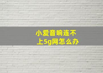 小爱音响连不上5g网怎么办