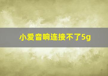 小爱音响连接不了5g