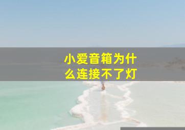 小爱音箱为什么连接不了灯