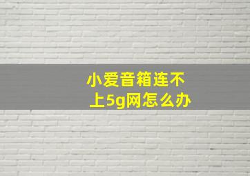 小爱音箱连不上5g网怎么办