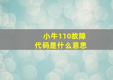 小牛110故障代码是什么意思