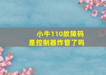 小牛110故障码是控制器炸管了吗