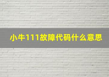 小牛111故障代码什么意思