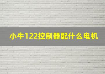 小牛122控制器配什么电机