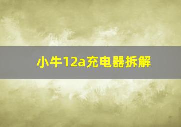 小牛12a充电器拆解