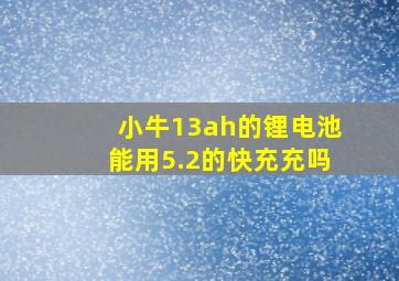 小牛13ah的锂电池能用5.2的快充充吗