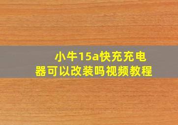 小牛15a快充充电器可以改装吗视频教程