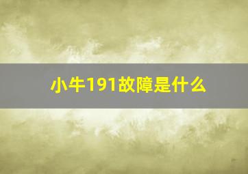 小牛191故障是什么