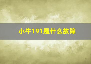 小牛191是什么故障