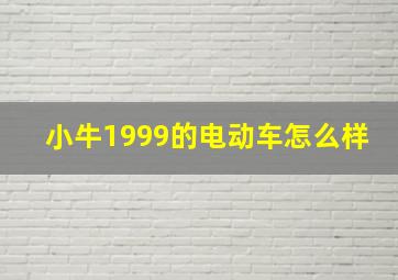 小牛1999的电动车怎么样