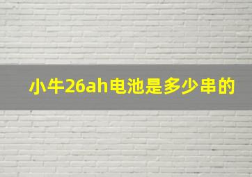 小牛26ah电池是多少串的