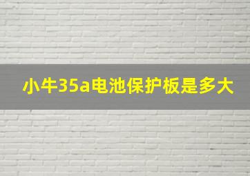 小牛35a电池保护板是多大