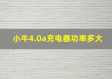 小牛4.0a充电器功率多大