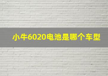 小牛6020电池是哪个车型