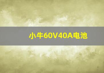 小牛60V40A电池