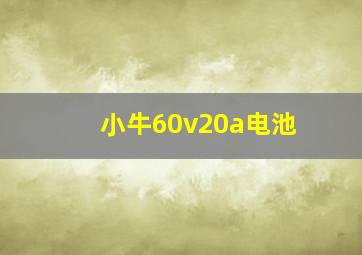 小牛60v20a电池