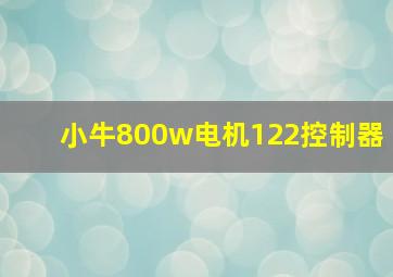 小牛800w电机122控制器