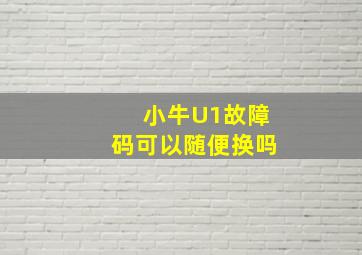 小牛U1故障码可以随便换吗