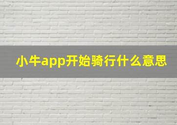 小牛app开始骑行什么意思