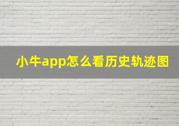 小牛app怎么看历史轨迹图