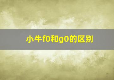 小牛f0和g0的区别