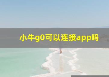 小牛g0可以连接app吗