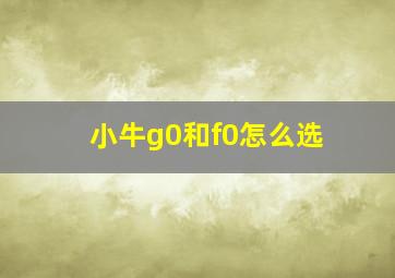 小牛g0和f0怎么选