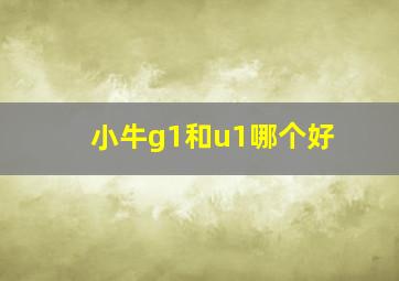 小牛g1和u1哪个好