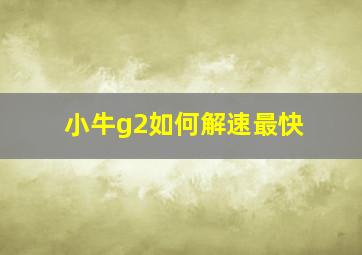 小牛g2如何解速最快