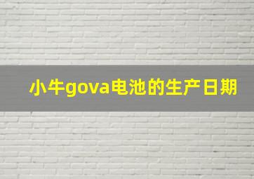 小牛gova电池的生产日期