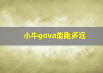 小牛gova能跑多远