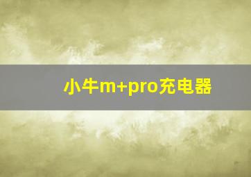 小牛m+pro充电器