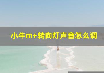 小牛m+转向灯声音怎么调