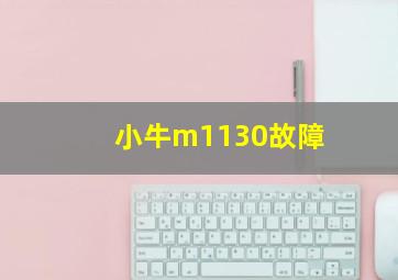 小牛m1130故障