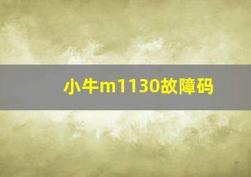 小牛m1130故障码