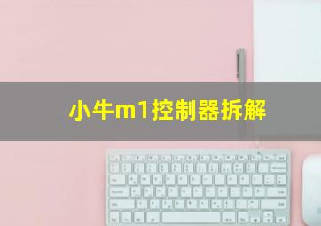 小牛m1控制器拆解