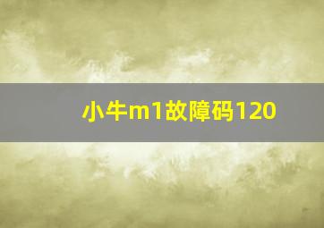 小牛m1故障码120