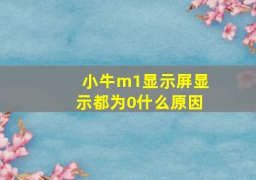 小牛m1显示屏显示都为0什么原因