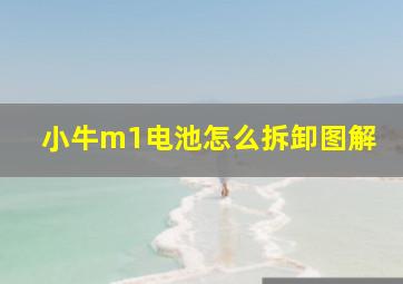 小牛m1电池怎么拆卸图解