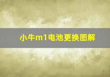 小牛m1电池更换图解