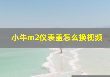 小牛m2仪表盖怎么换视频