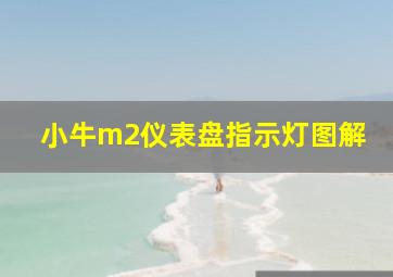 小牛m2仪表盘指示灯图解