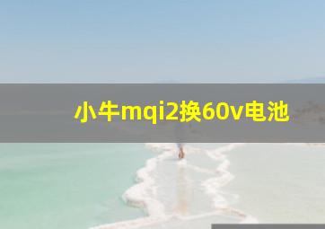 小牛mqi2换60v电池