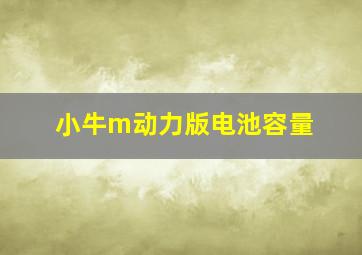 小牛m动力版电池容量