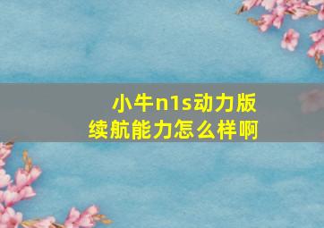 小牛n1s动力版续航能力怎么样啊