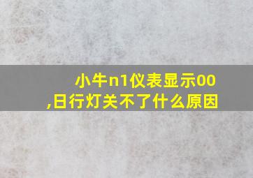 小牛n1仪表显示00,日行灯关不了什么原因