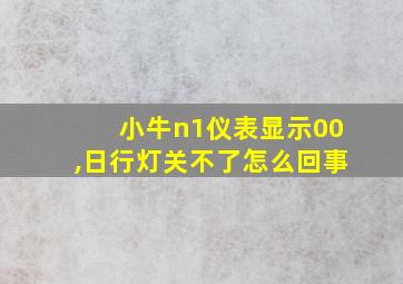 小牛n1仪表显示00,日行灯关不了怎么回事