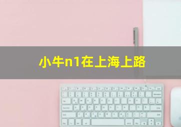 小牛n1在上海上路