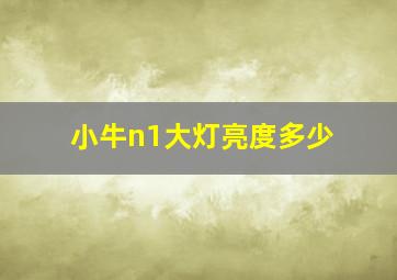 小牛n1大灯亮度多少