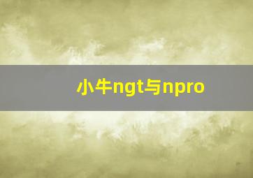 小牛ngt与npro